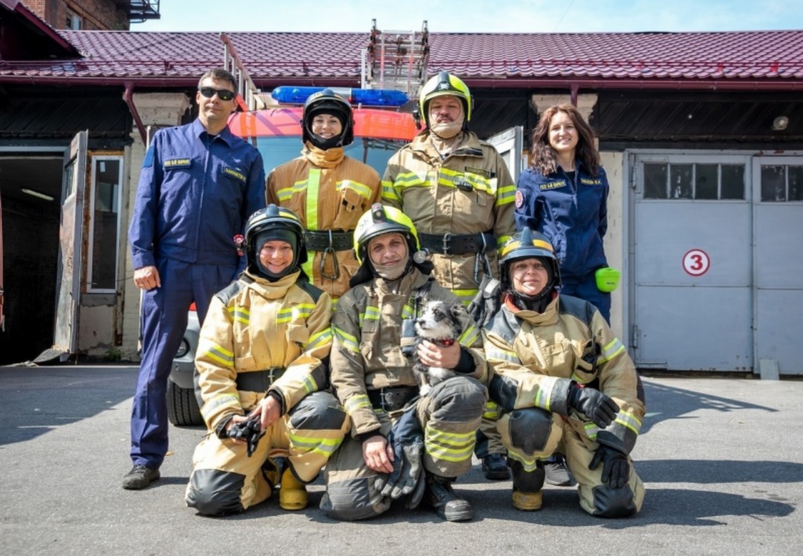 В МЧС России определили лучших добровольных пожарных | Новости портала  ВДПО.рф